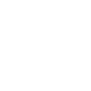 IEEE Logo