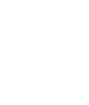 Shamsia Logo